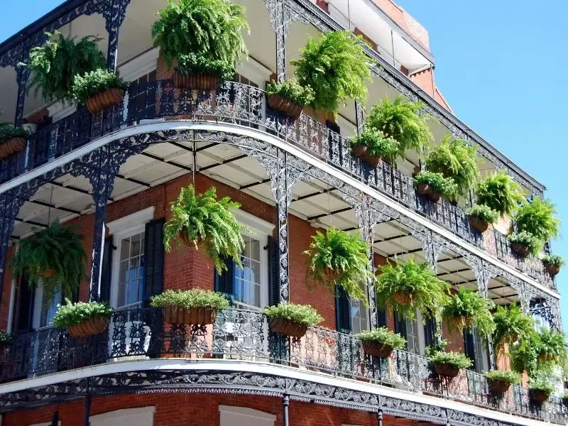 New Orleans Bucket List