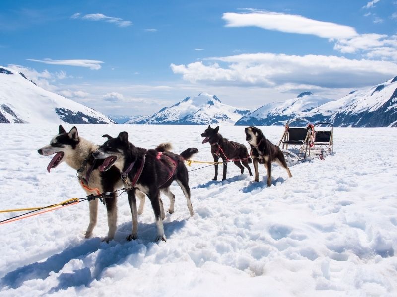 The ultimate Alaskan bucket list