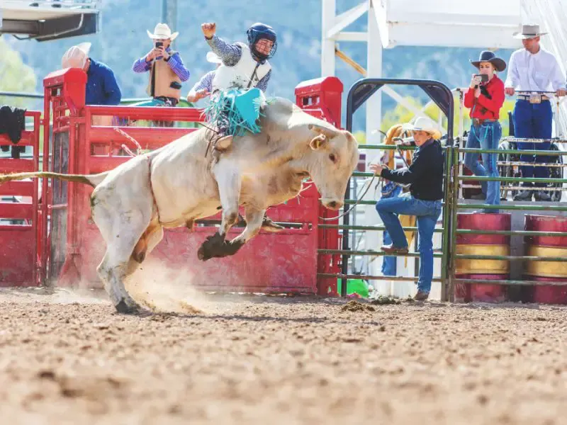 Saskatchewan Bucket list